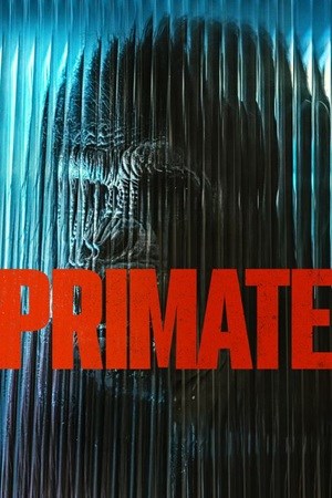 Primate